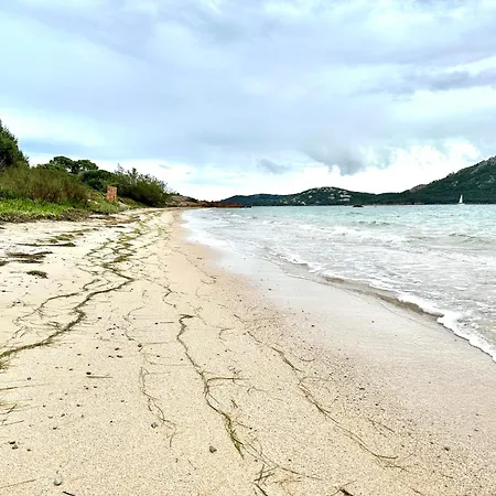 Appartamento T4 Neuf Porto Vecchio Calarossa Lecci