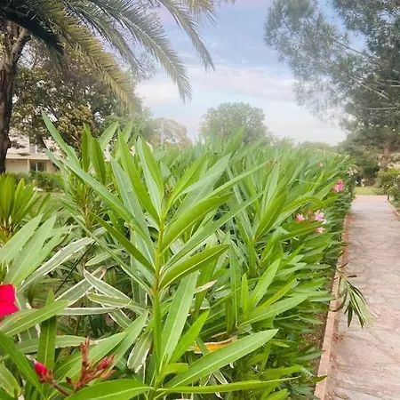 Apartment T4 Neuf Porto Vecchio Calarossa *