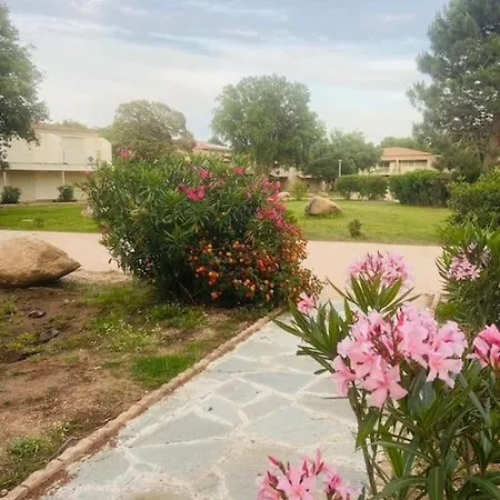 T4 Neuf Porto Vecchio Calarossa *