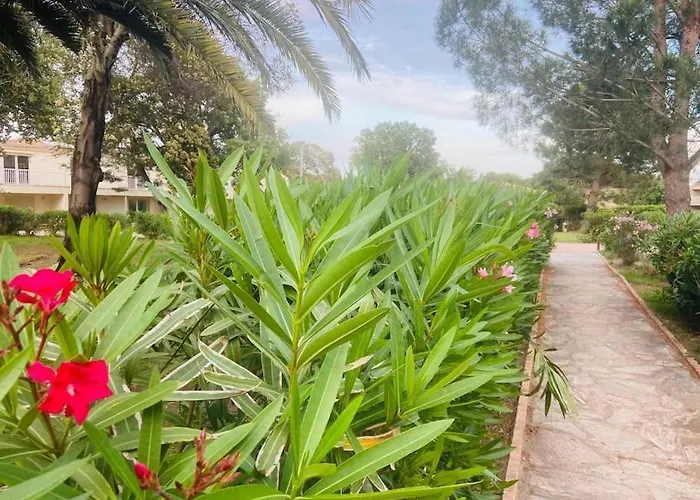 Apartmán T4 Neuf Porto Vecchio Calarossa *