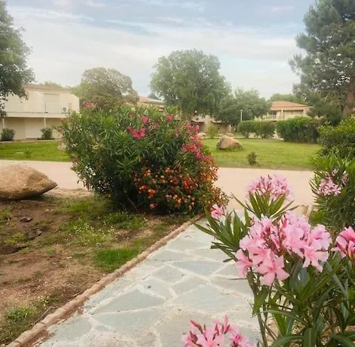 T4 Neuf Porto Vecchio Calarossa *