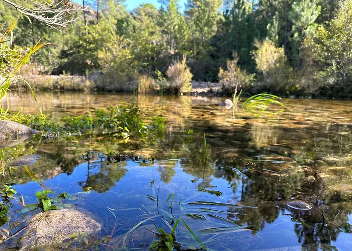 T4 Neuf Porto Vecchio Calarossa *